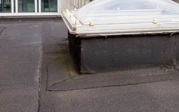 disadvantages of West Ness flat roofs