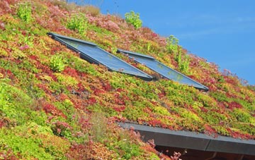 West Ness living roof systems